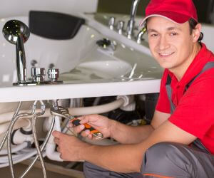 About Plumbers Pros Colon, MI